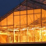 aces greenhouse at night